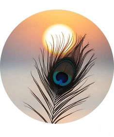 Donation icon